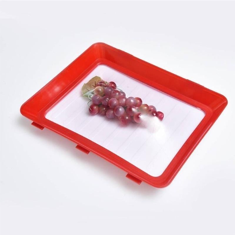 Environmentally Friendly Design – Reusable Food Preserving Tray Red / Buy 1