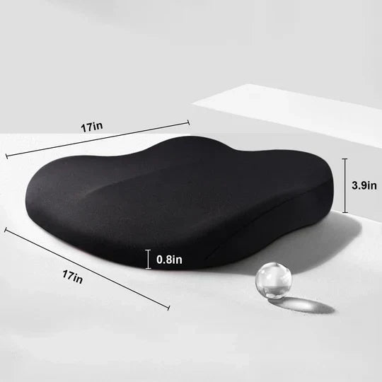 Adult Car Seat Booster