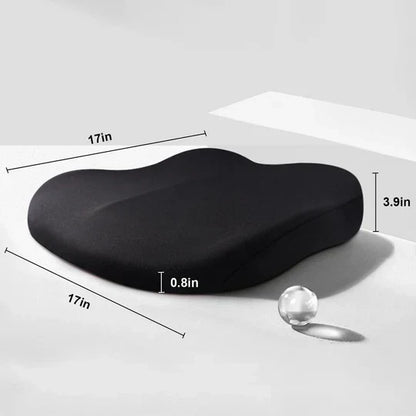 Adult Car Seat Booster