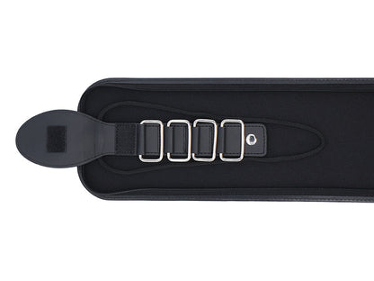 Beethoven Tie Case