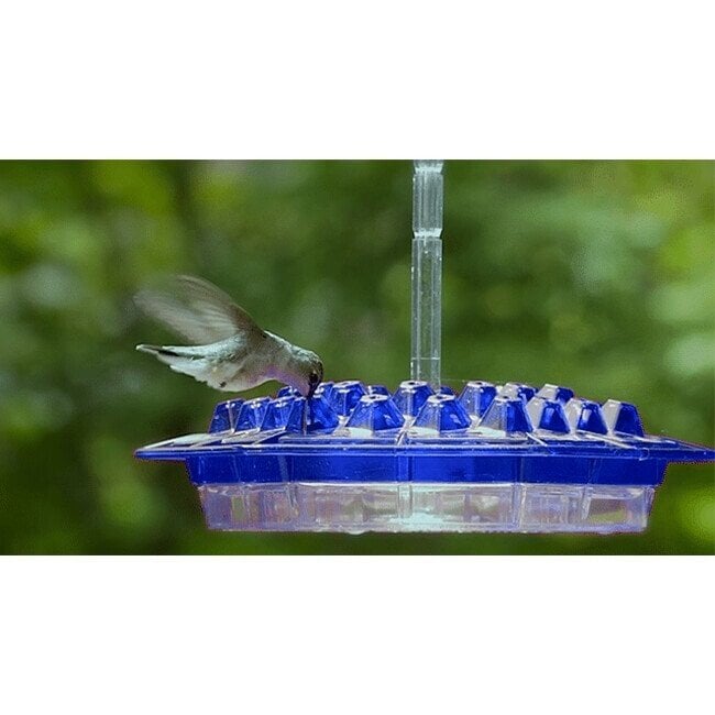 Marys Hummingbird Feeder With Perch And Built-In Ant Moat