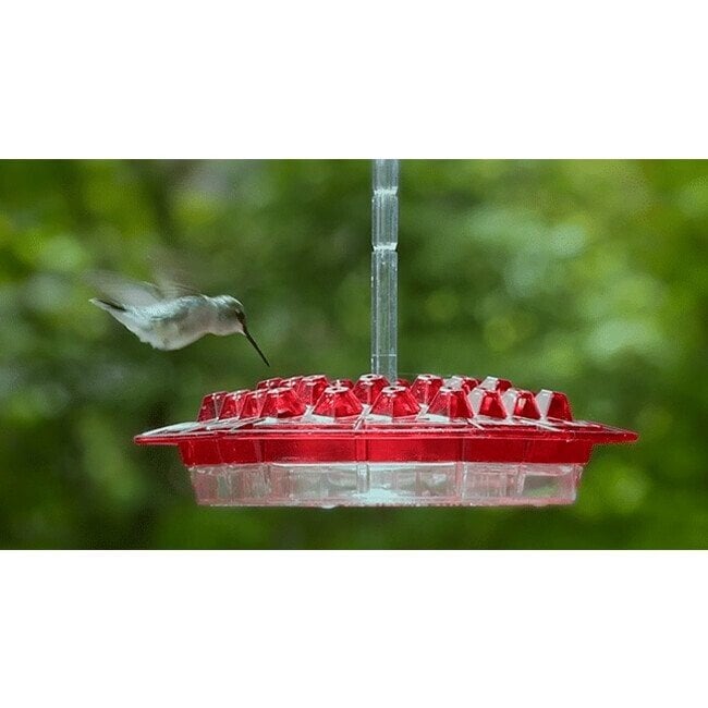 Marys Hummingbird Feeder With Perch And Built-In Ant Moat